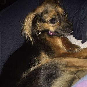 Meet your Posher, Destinee